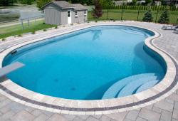 CELEBRITY - Blends the functionality of a traditional lap pool, with the sleek styling of a freeform.